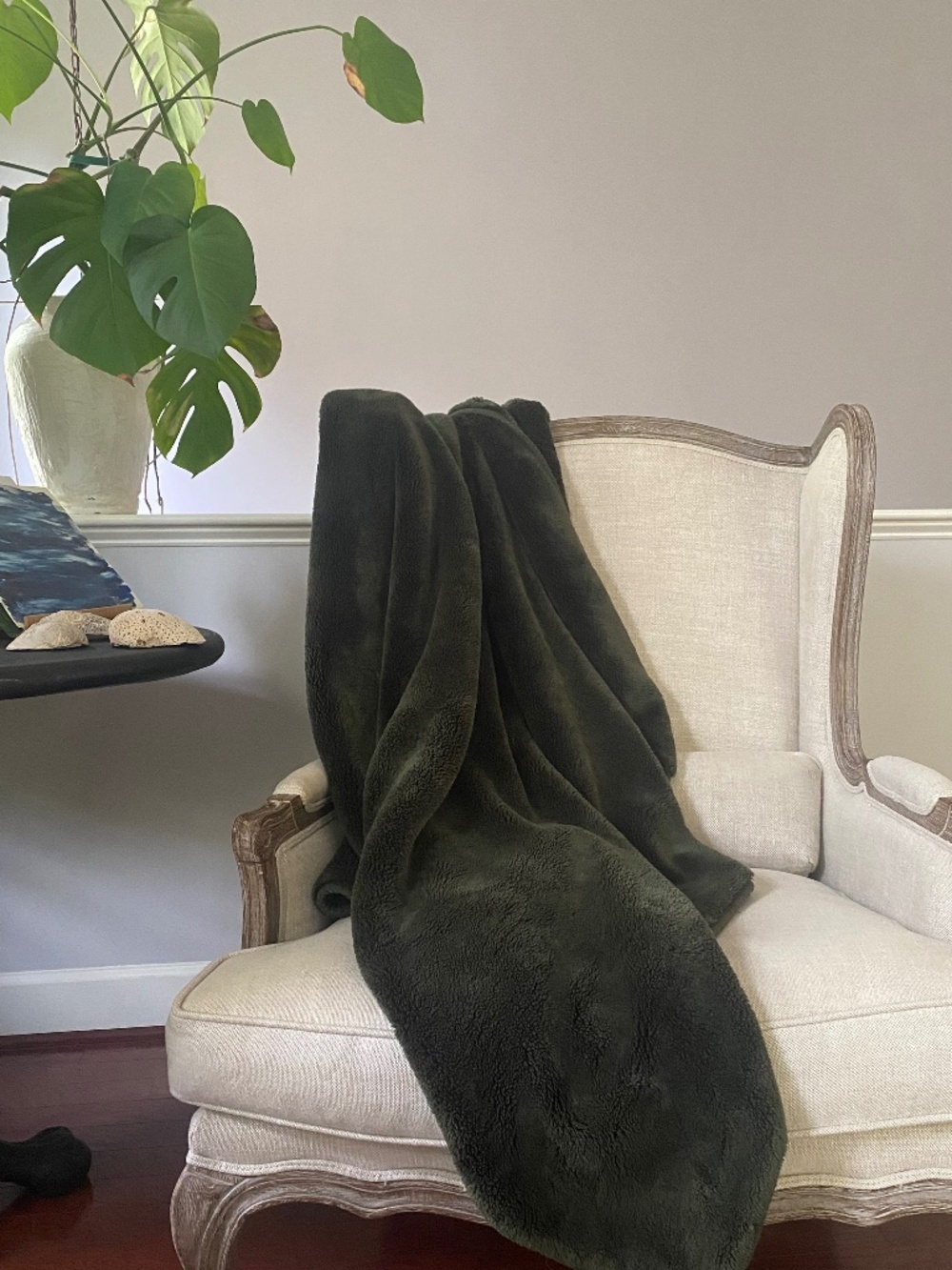 Pottery Barn Cozy Cloud  Plush Throw Blanket Green 50 x 60